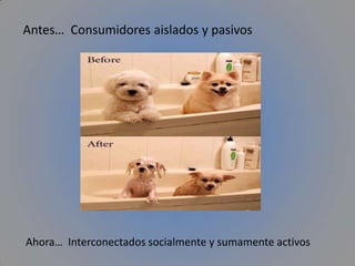 Inteligenciacolectiva