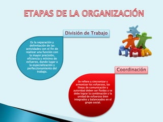 Es la separación y
delimitación de las
actividades con el fin de
realizar una función con
la mayor precisión,
eficiencia y mínimo de
esfuerzo, dando lugar a
la especialización y
perfeccionamiento del
trabajo.
Se refiere a sincronizar y
armonizar los esfuerzos, las
líneas de comunicación y
autoridad deben ser fluidas y se
debe lograr la combinación y la
unidad de esfuerzos bien
integrados y balanceados en el
grupo social.
 