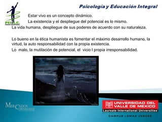 	Parábola del Agente de Seguros y el Sacerdote: Se realizaba 	la relación y se estaría  repitiendo un acto inconsciente y una 	compulsión por la repetición.¿Qué camino debe seguir el terapeuta?No reprimir, no engancharse con el paciente.Tratar la transferencia como algo irreal , permitirle su flujo para traer la sombra a la consciencia.Sin juicio moral posibilitar la exploración de sueños, deseos y fantasías sexuales.Mantenerse siempre atento a la tentación y al momento para abandonar el tratamiento.Confrontar y clarificar la resistencia, sobre todo lo salvaje e indomable del deseo habría razonamiento y no exigencia irracional.Se presenta como un amor rígido y estereotipado no espontáneo, mas bien acartonado. Favorecer la expresión afectiva, confrontando las incongruencias, analizar profundamente la conducta.Paciencia.