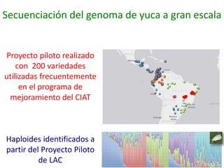 Presentación joe tohme casa abierta ciat 2013