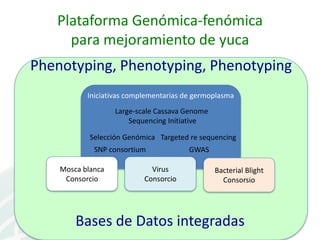 Presentación joe tohme casa abierta ciat 2013