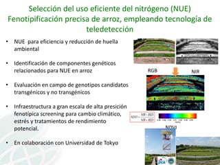 Presentación joe tohme casa abierta ciat 2013