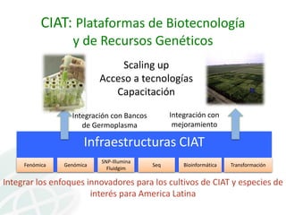 Presentación joe tohme casa abierta ciat 2013