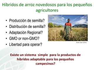 Presentación joe tohme casa abierta ciat 2013