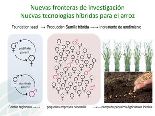 Presentación joe tohme casa abierta ciat 2013