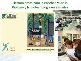 Presentación joe tohme casa abierta ciat 2013