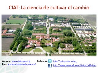 Presentación joe tohme casa abierta ciat 2013