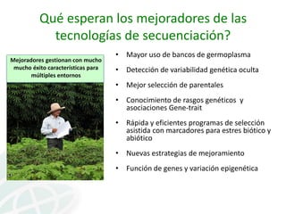 Presentación joe tohme casa abierta ciat 2013