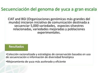 Presentación joe tohme casa abierta ciat 2013