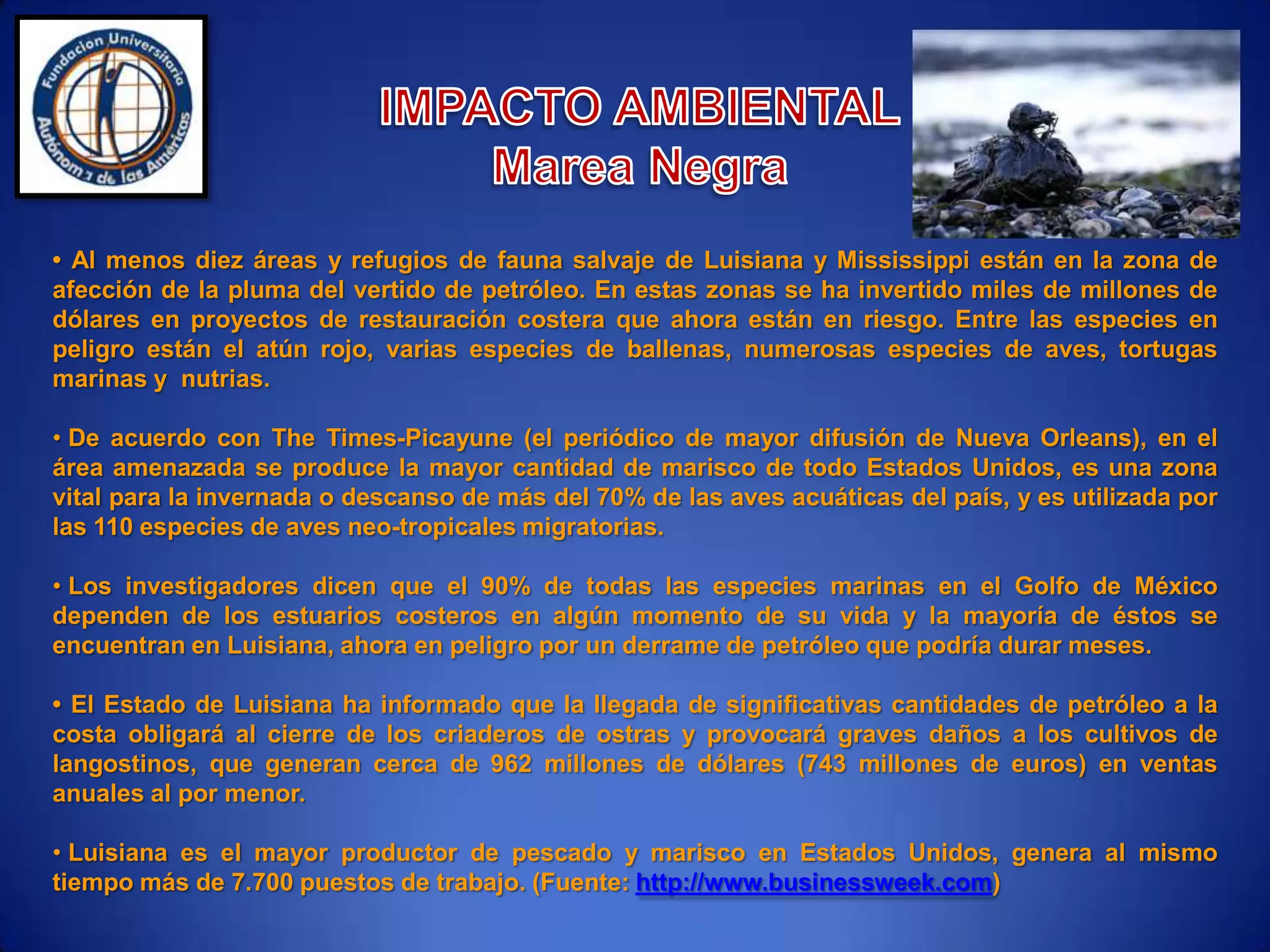 Video Informativo