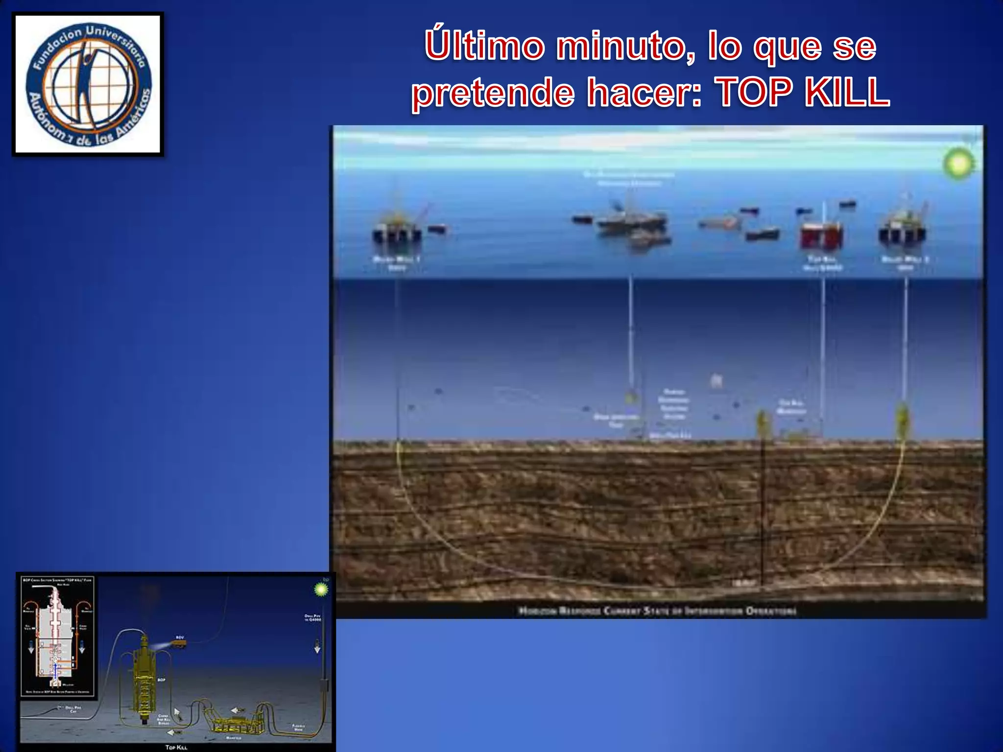  Los vertidos de hidrocarburos al medio marino son una de las principales amenazas para los ecosistemas y las especies que habitan en ellos.  Su negativo impacto ambiental puede durar hasta 100 años.