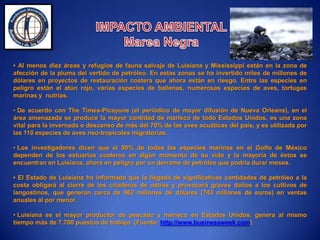 Video Informativo