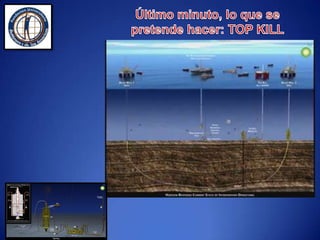  Los vertidos de hidrocarburos al medio marino son una de las principales amenazas para los ecosistemas y las especies que habitan en ellos.  Su negativo impacto ambiental puede durar hasta 100 años.