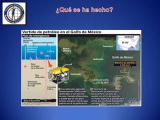  Tenía 121 metros de largo por 78 metros de ancho.