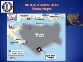  Podía alojar hasta 130 personas  ///  -  Se pagaba un alquiler de US. 500,000 /día