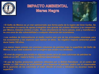  Murieron 11 trabajadoresVideo Explicativo y soluciones fallidas