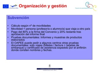 Organización y gestión Subvención Cálculo según nº de movilidades Movilidad = persona (profesor/a o alumno/a) que viaja a otro país Pago del 80% a la firma del Convenio y 20% restante tras aprobación del informe final Pruebas documentales: Informes y muestras de productos elaborados El OAPEE puede pedir a algunos centros otras pruebas documentales: solo viajes (billetes / factura + tarjetas de embarque) y certificado de asistencia expedido por el anfitrión donde consten nombres y fechas. 