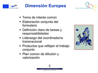Dimensión Europea Tema de interés común Elaboración conjunta del formulario Definición clara  de  tareas y responsabilidades Liderazgo del coordinador/a transnacional Productos que reflejen el trabajo conjunto Plan común de difusión y valorización 