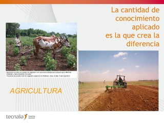La cantidad de conocimiento aplicado  es la que crea la diferencia AGRICULTURA 