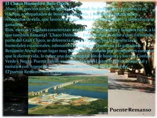 El Chaco Húmedo o Bajo Chaco
Abarca la porción sur de la región Occidental. Se destaca por la presencia de
riachos, acompañados de bosques en galería, y humedales estacionales,
rebosantes de vida, que favorecen la presencia de vida silvestre y a la producción
ganadera.
Ríos, esteros y lagunas caracterizan a esta tierra de palmares y bosques bajos, a la
que también llaman el "Chaco Húmedo". Este nombre se debe a que, formando
parte del Gran Chaco, se diferencia de otros lugares por la presencia de
humedales estacionales, rebosantes de vida, que favorecen a la ganadería.
Benjamín Aceval es un lugar muy pintoresco, fundado por inmigrantes europeos
que le dieron vida, lo cubre una densa vegetación de bosques y los ríos Confuso,
Verde y Negro. Puerto Falcón se caracteriza por el intenso tráfico comercial y
turístico con Argentina, que es una importante fuente de recursos.
El puente Remanso une al Departamento con Asunción.
Puente Remanso
 