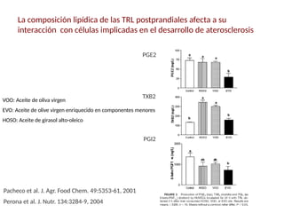 La composición lipídica de las TRL postprandiales afecta a su
interacción con células implicadas en el desarrollo de aterosclerosis
Perona et al. J. Nutr. 134:3284-9, 2004
Pacheco et al. J. Agr. Food Chem. 49:5353-61, 2001
VOO: Aceite de oliva virgen
EVO: Aceite de olive virgen enriquecido en componentes menores
HOSO: Aceite de girasol alto-oleico
PGE2
TXB2
PGI2
 