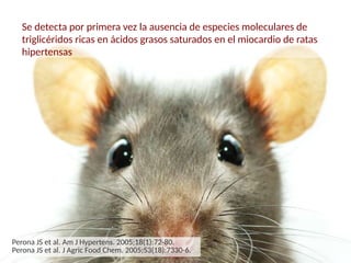 Se detecta por primera vez la ausencia de especies moleculares de
triglicéridos ricas en ácidos grasos saturados en el miocardio de ratas
hipertensas
Perona JS et al. Am J Hypertens. 2005;18(1):72-80.
Perona JS et al. J Agric Food Chem. 2005;53(18):7330-6.
 