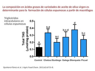 La composición en ácidos grasos de variedades de aceite de oliva virgen es
determinante para la formación de células espumosas a partir de macrófagos
Quintero-Flórez et al. J Agric Food Chem. 2015;63:6731-8.
Chetoui Buidiego Galega Blanqueta PicualControl
Triglicéridos
intracelulares en
células espumosas
 