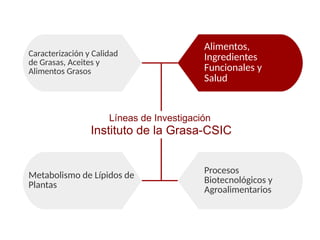 Caracterización y Calidad
de Grasas, Aceites y
Alimentos Grasos
Alimentos,
Ingredientes
Funcionales y
Salud
Metabolismo de Lípidos de
Plantas
Procesos
Biotecnológicos y
Agroalimentarios
Líneas de Investigación
Instituto de la Grasa-CSIC
 