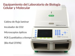 Equipamiento del Laboratorio de Biología
Celular y Molecular
Cabina de flujo laminar
Incubador de CO2
Microscopios ópticos
PCR Cuantitativa a tiempo real
(Bio-Rad CFX96)
 