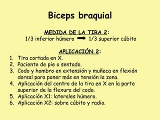 Biceps braquial
MEDIDA DE LA TIRA 2:
1/3 inferior húmero 1/3 superior cúbito
APLICACIÓN 2:
1. Tira cortada en X.
2. Paciente de pie o sentado.
3. Codo y hombro en extensión y muñeca en flexión
dorsal para poner más en tensión la zona.
4. Aplicación del centro de la tira en X en la parte
superior de la flexura del codo.
5. Aplicación X1: laterales húmero.
6. Aplicación X2: sobre cúbito y radio.
 