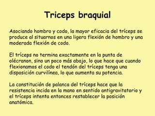 Triceps braquial
Asociando hombro y codo, la mayor eficacia del tríceps se
produce al situarnos en una ligera flexión de hombro y una
moderada flexión de codo.
El tríceps no termina exactamente en la punta de
olécranon, sino un poco más abajo, lo que hace que cuando
flexionamos el codo el tendón del tríceps tenga una
disposición curvilínea, lo que aumenta su potencia.
La constitución de palanca del tríceps hace que la
resistencia incida en la mano en sentido antigravitatorio y
el tríceps intenta entonces restablecer la posición
anatómica.
 