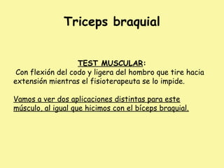 Triceps braquial
TEST MUSCULAR:
Con flexión del codo y ligera del hombro que tire hacia
extensión mientras el fisioterapeuta se lo impide.
Vamos a ver dos aplicaciones distintas para este
músculo, al igual que hicimos con el bíceps braquial.
 