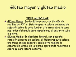 Glúteo mayor y glúteo medio
TEST MUSCULAR:
Glúteo Mayor: En decúbito prono, con flexión de
rodillas de 90º, el fisioterapeuta coloca una mano de
sujeción sobre la zona lumbar y la otra sobre la cara
posterior del muslo para impedir que el paciente suba
la pierna.
Glúteo Medio: En decúbito lateral, con pequeña
rotación externa de cadera, el fisioterapeuta coloca
una mano en esa cadera y con la otra resiste la
separación lateral de la pierna ejerciendo resistencia
sobre su cara latero-externa.
 