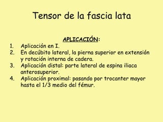 Tensor de la fascia lata
APLICACIÓN:
1. Aplicación en I.
2. En decúbito lateral, la pierna superior en extensión
y rotación interna de cadera.
3. Aplicación distal: parte lateral de espina iliaca
anterosuperior.
4. Aplicación proximal: pasando por trocanter mayor
hasta el 1/3 medio del fémur.
 