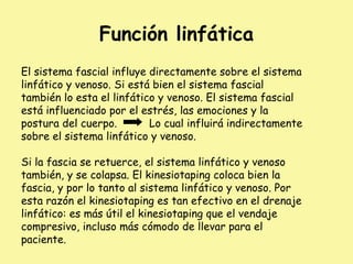 Función linfática
El sistema fascial influye directamente sobre el sistema
linfático y venoso. Si está bien el sistema fascial
también lo esta el linfático y venoso. El sistema fascial
está influenciado por el estrés, las emociones y la
postura del cuerpo. Lo cual influirá indirectamente
sobre el sistema linfático y venoso.
Si la fascia se retuerce, el sistema linfático y venoso
también, y se colapsa. El kinesiotaping coloca bien la
fascia, y por lo tanto al sistema linfático y venoso. Por
esta razón el kinesiotaping es tan efectivo en el drenaje
linfático: es más útil el kinesiotaping que el vendaje
compresivo, incluso más cómodo de llevar para el
paciente.
 
