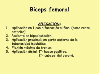 Biceps femoral
APLICACIÓN:
1. Aplicación en I con bifurcación al final (como recto
anterior).
2. Paciente en bipedestación.
3. Aplicación proximal: en parte externa de la
tuberosidad isquiática.
4. Flexión máxima de tronco.
5. Aplicación distal: 1º- hueco poplíteo.
2º- cabeza del peroné.
 