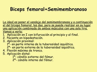 Biceps femoral+Semimembranoso
Lo ideal es poner el vendaje del semimembranoso y a continuación
el del bíceps femoral, los dos, pero se puede realizar en su lugar
una aplicación combinada de ambos músculos con una sola tira.
Vamos a verla:
1. Aplicación en I con bifurcación al principio y al final.
2. Paciente en bipedestación.
3. Aplicación proximal:
1º- en parte interna de la tuberosidad isquiática.
2º- en parte externa de la tuberosidad isquiática.
4. Flexión máxima de tronco.
5. Aplicación distal:
1º- cóndilo externo del fémur.
2º- cóndilo interno del fémur.
 