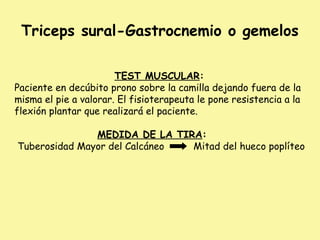 Triceps sural-Gastrocnemio o gemelos
TEST MUSCULAR:
Paciente en decúbito prono sobre la camilla dejando fuera de la
misma el pie a valorar. El fisioterapeuta le pone resistencia a la
flexión plantar que realizará el paciente.
MEDIDA DE LA TIRA:
Tuberosidad Mayor del Calcáneo Mitad del hueco poplíteo
 