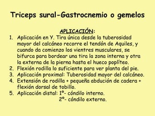 Triceps sural-Gastrocnemio o gemelos
APLICACIÓN:
1. Aplicación en Y. Tira única desde la tuberosidad
mayor del calcáneo recorre el tendón de Aquiles, y
cuando da comienzo los vientres musculares, se
bifurca para bordear una tira la zona interna y otra
la externa de la pierna hasta el hueco poplíteo.
2. Flexión rodilla lo suficiente para ver planta del pie.
3. Aplicación proximal: Tuberosidad mayor del calcáneo.
4. Extensión de rodilla + pequeña abdución de cadera +
flexión dorsal de tobillo.
5. Aplicación distal: 1º- cóndilo interno.
2º- cóndilo externo.
 