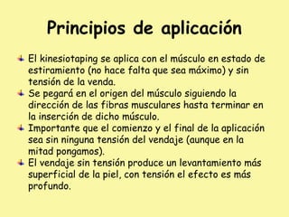 Principios de aplicación
El kinesiotaping se aplica con el músculo en estado de
estiramiento (no hace falta que sea máximo) y sin
tensión de la venda.
Se pegará en el origen del músculo siguiendo la
dirección de las fibras musculares hasta terminar en
la inserción de dicho músculo.
Importante que el comienzo y el final de la aplicación
sea sin ninguna tensión del vendaje (aunque en la
mitad pongamos).
El vendaje sin tensión produce un levantamiento más
superficial de la piel, con tensión el efecto es más
profundo.
 