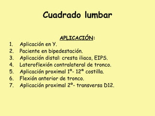 Cuadrado lumbar
APLICACIÓN:
1. Aplicación en Y.
2. Paciente en bipedestación.
3. Aplicación distal: cresta iliaca, EIPS.
4. Lateroflexión contralateral de tronco.
5. Aplicación proximal 1º- 12ª costilla.
6. Flexión anterior de tronco.
7. Aplicación proximal 2º- transversa D12.
 
