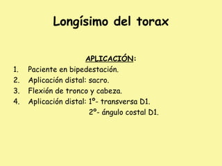 Longísimo del torax
APLICACIÓN:
1. Paciente en bipedestación.
2. Aplicación distal: sacro.
3. Flexión de tronco y cabeza.
4. Aplicación distal: 1º- transversa D1.
2º- ángulo costal D1.
 