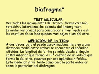Diafragma*
TEST MUSCULAR:
Ver todos los movimientos del tronco: flexoextensión,
rotación y lateralización; además del linderg test.
Levantar los brazos para comprobar si hay rigidez o si
las costillas de un lado quedan mas bajas q las del otro.
MEDICIÓN DE LA TIRA:
A dos dedos bajo el pezón aproximadamente y en a una
distancia media entre ambos se encuentra el apéndice
xifoides. La longitud de la tira se mide desde el ángulo
costal inferior que forma la 12ª costilla de un lado al que
forma la del otro, pasando por ese apéndice xifoides.
Esta medición sirve tanto como para la parte anterior
como la posterior del diafragma.
 