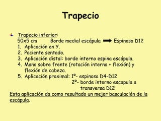 Trapecio
Trapecio inferior:
50x5 cm Borde medial escápula Espinosa D12
1. Aplicación en Y.
2. Paciente sentado.
3. Aplicación distal: borde interno espina escápula.
4. Mano sobre frente (rotación interna + flexión) y
flexión de cabeza.
5. Aplicación proximal: 1º- espinosa D4-D12
2º- borde interno escapula a
transversa D12
Esta aplicación da como resultado un mejor basculación de la
escápula.
 