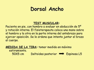 Dorsal Ancho
TEST MUSCULAR:
Paciente en pie, con hombro a evaluar en abducción de 5º
y rotación interna. El fisioterapeuta coloca una mano sobre
el hombro y la otra en la parte interna del antebrazo para
ejercer oposición. Se le ordena que intente juntar el brazo
al cuerpo.
MEDIDA DE LA TIRA: tomar medida en máximo
estiramiento.
50X5 cm Deltoides posterior Espinosa L5
 