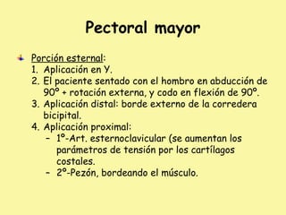 Pectoral mayor
Porción esternal:
1. Aplicación en Y.
2. El paciente sentado con el hombro en abducción de
90º + rotación externa, y codo en flexión de 90º.
3. Aplicación distal: borde externo de la corredera
bicipital.
4. Aplicación proximal:
– 1º-Art. esternoclavicular (se aumentan los
parámetros de tensión por los cartílagos
costales.
– 2º-Pezón, bordeando el músculo.
 