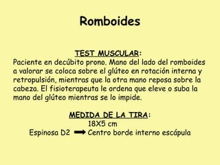 Romboides
TEST MUSCULAR:
Paciente en decúbito prono. Mano del lado del romboides
a valorar se coloca sobre el glúteo en rotación interna y
retropulsión, mientras que la otra mano reposa sobre la
cabeza. El fisioterapeuta le ordena que eleve o suba la
mano del glúteo mientras se lo impide.
MEDIDA DE LA TIRA:
18X5 cm
Espinosa D2 Centro borde interno escápula
 