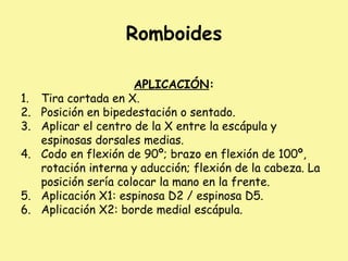 Romboides
APLICACIÓN:
1. Tira cortada en X.
2. Posición en bipedestación o sentado.
3. Aplicar el centro de la X entre la escápula y
espinosas dorsales medias.
4. Codo en flexión de 90º; brazo en flexión de 100º,
rotación interna y aducción; flexión de la cabeza. La
posición sería colocar la mano en la frente.
5. Aplicación X1: espinosa D2 / espinosa D5.
6. Aplicación X2: borde medial escápula.
 