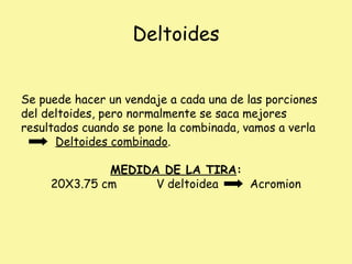 Deltoides
Se puede hacer un vendaje a cada una de las porciones
del deltoides, pero normalmente se saca mejores
resultados cuando se pone la combinada, vamos a verla
Deltoides combinado.
MEDIDA DE LA TIRA:
20X3.75 cm V deltoidea Acromion
 