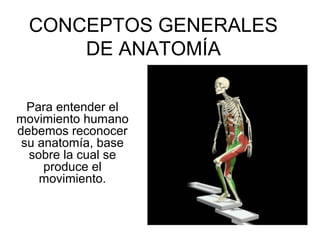 CONCEPTOS GENERALES
DE ANATOMÍA
Para entender el
movimiento humano
debemos reconocer
su anatomía, base
sobre la cual se
produce el
movimiento.
 
